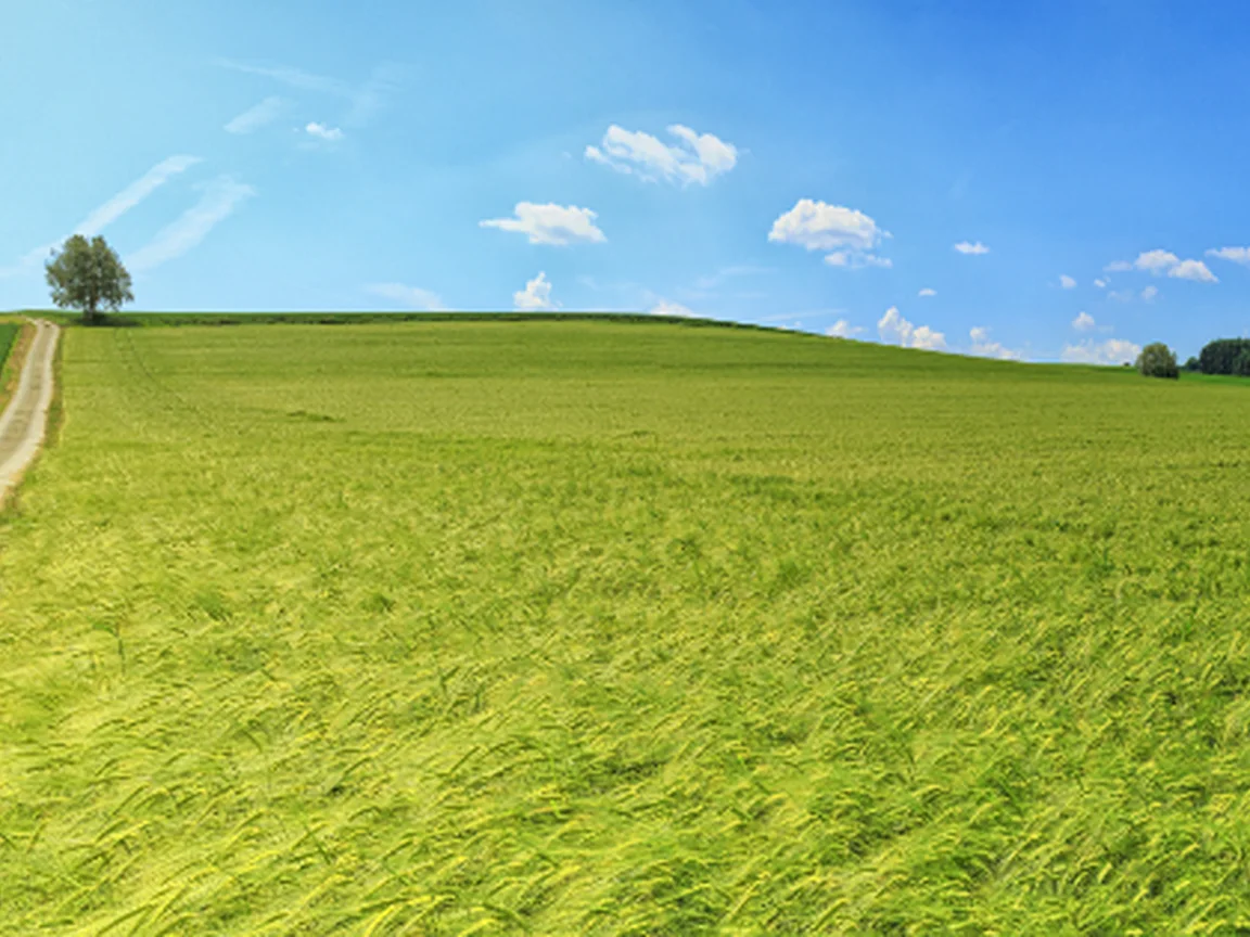 Agriculture and AgriTech AI solutions